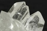 Clear Quartz Crystal Cluster - Brazil #250411-1